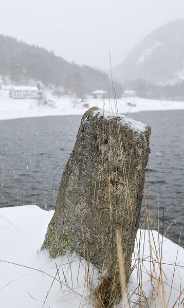 Fil:FRøyrak 310126.jpg
