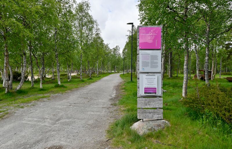 Fil:Vikingvegen Hovden 200624.jpg