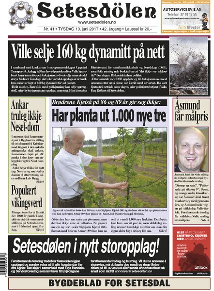 Fil:Setesdølen4117.jpg