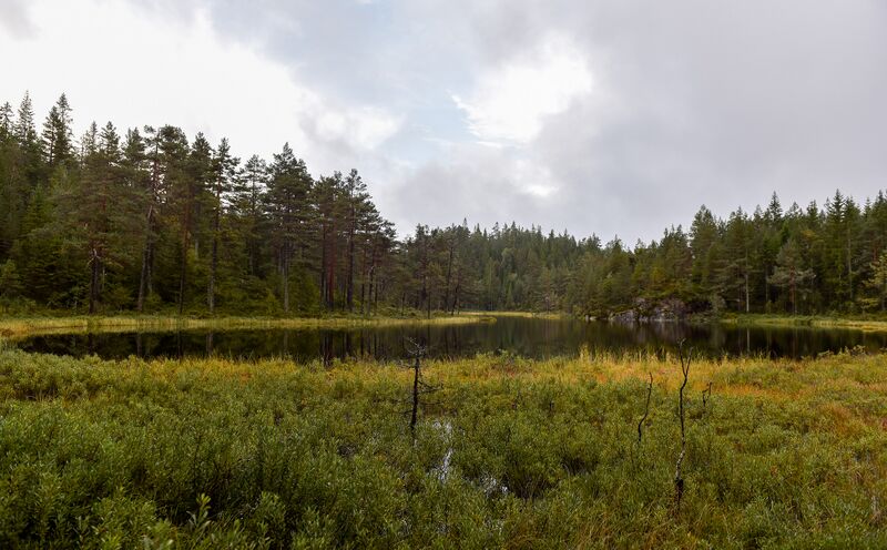 Fil:Botreistjønn Iveland 150925 (2).jpg