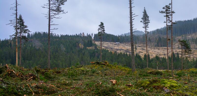 Fil:Lia Åraksbø støyl 171024-2.jpg