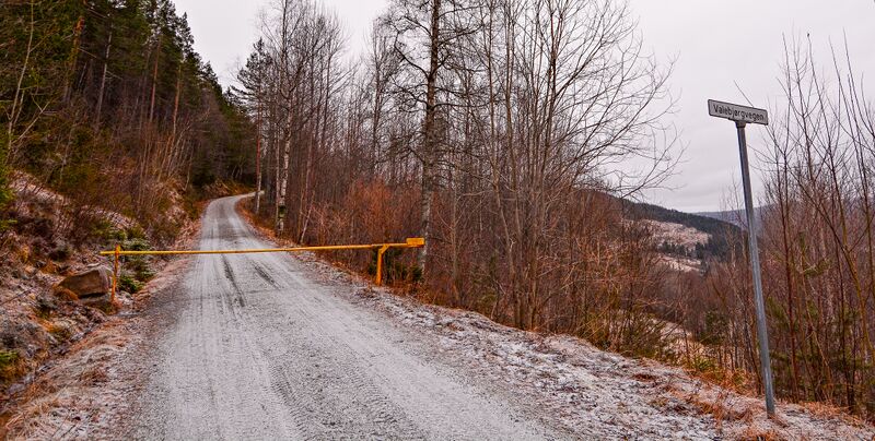 Fil:Valebjørgvegen Grendi 151116-2.jpg